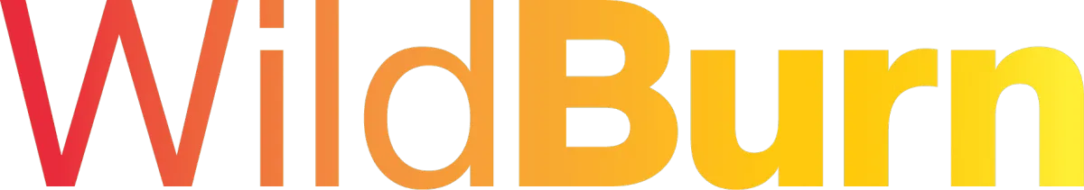wildBurn-logo